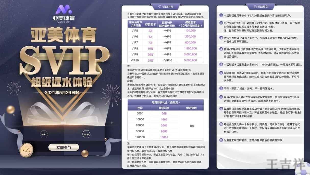 亚美综合版官网入口与功能介绍指南
